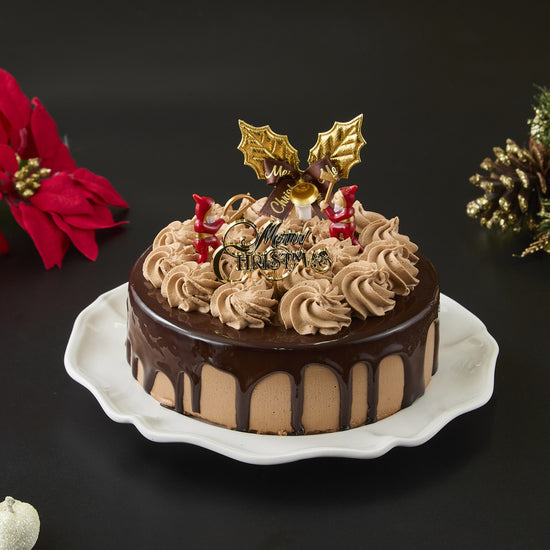 【本店受取のみ】ノエルショコラプラリネ　4号